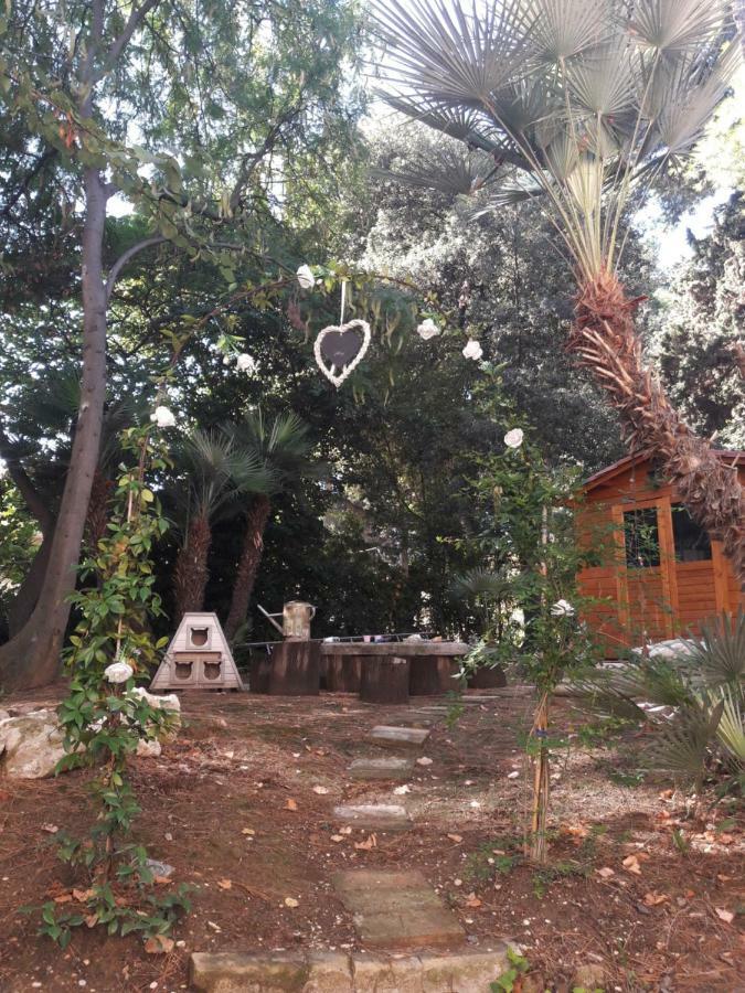 Il Gatto E Il Violino Villa Lido di Fermo Eksteriør billede