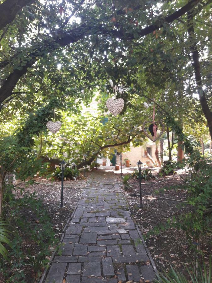Il Gatto E Il Violino Villa Lido di Fermo Eksteriør billede