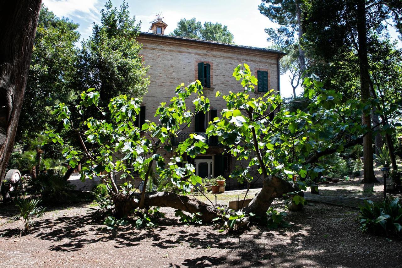 Il Gatto E Il Violino Villa Lido di Fermo Eksteriør billede